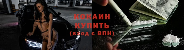 тгк Вяземский