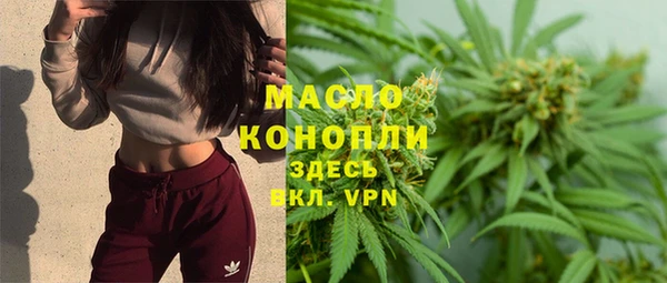 тгк Вяземский