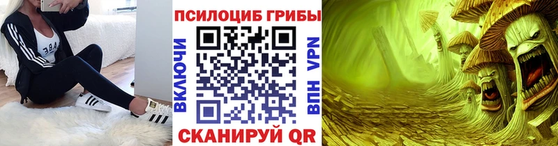 магазин продажи   omg как войти  Псилоцибиновые грибы Cubensis  Изобильный 